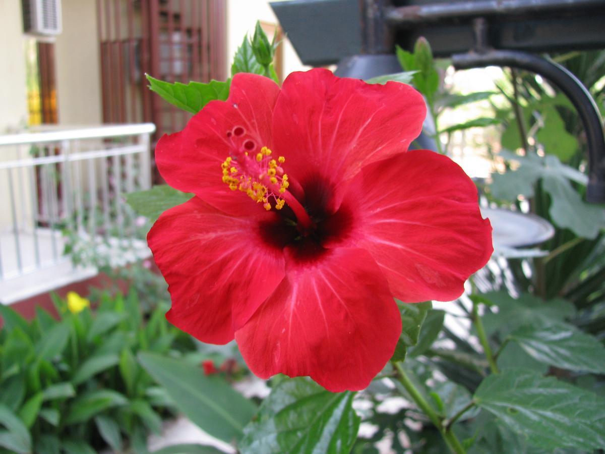 Hotel Sumela Garden Beldibi  Luaran gambar